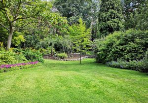 Optimiser l'expérience du jardin à Saint-Bonnet-de-Bellac